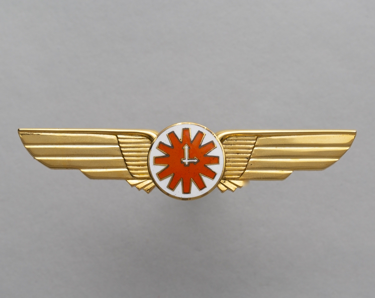 Image: flight officer wings: Time Air