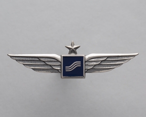 Image: flight officer wings: Southern Airways