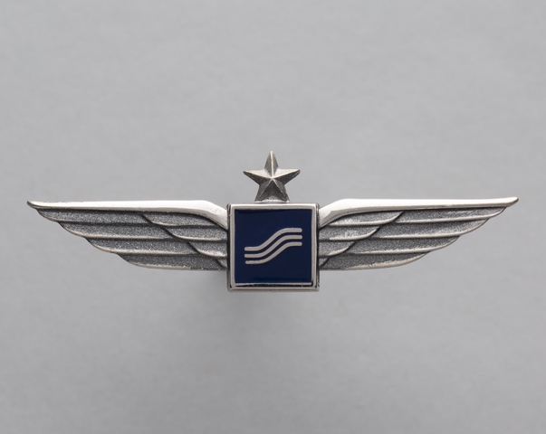 Flight officer wings: Southern Airways
