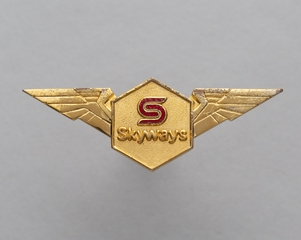 Image: flight officer wings: Skyways