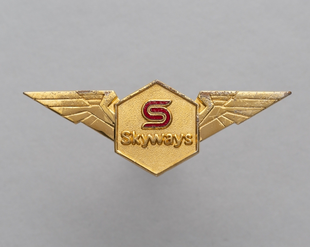 Flight officer wings: Skyways