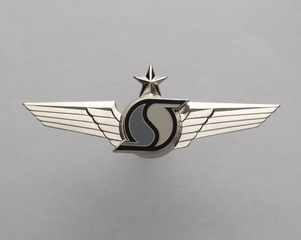 Image: flight officer wings: Southern Air Transport