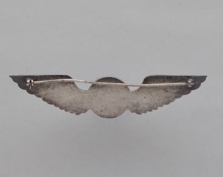 Image: flight officer wings: Transocean Air Lines