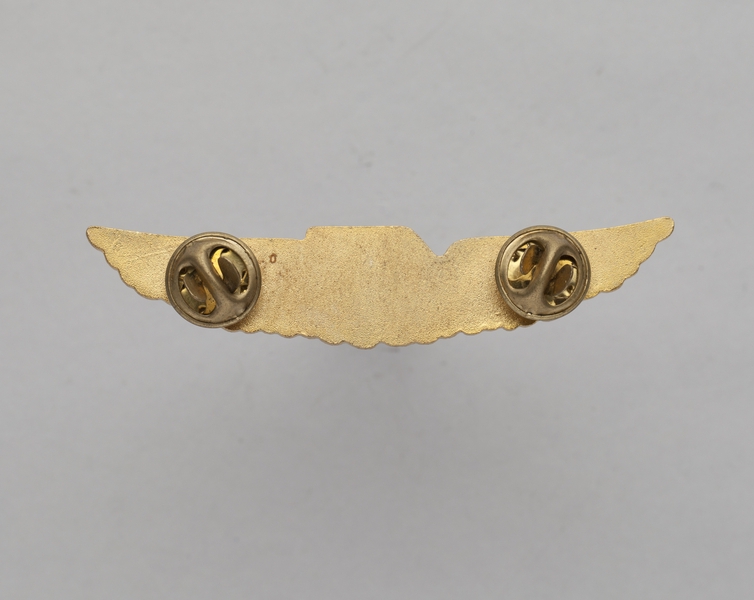 Image: flight officer wings: Trans World Express