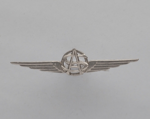 Image: flight officer wings: unknown airline