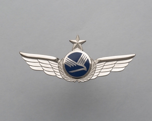 Image: flight officer wings: Pace Airlines