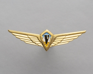 Image: flight officer wings: ValuJet Airlines