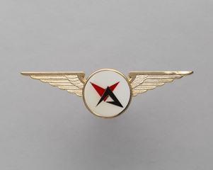 Image: flight officer wings: Valley Airlines