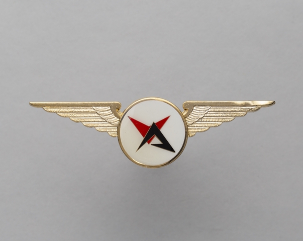Flight officer wings: Valley Airlines