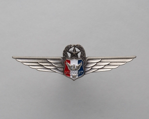 Image: flight officer wings: Viscount Air Service