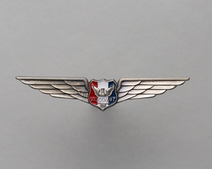 Image: flight officer wings: Viscount Air Service, Inc.