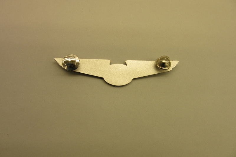 Image: flight officer wings: USAir