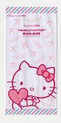 Image: airsickness bag: EVA Air