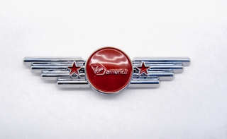 Image: children’s souvenir wings: Virgin America