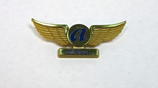 Image: children's souvenir wings: AirTran Airways