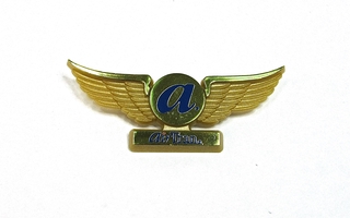 Image: children's souvenir wings: AirTran Airways