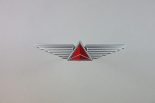Image: children's souvenir wings: Delta Air Lines