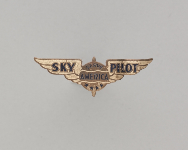 Flight officer wings: Sky Pilot