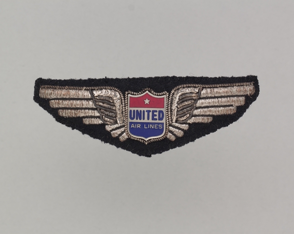 Flight officer wings: United Air Lines