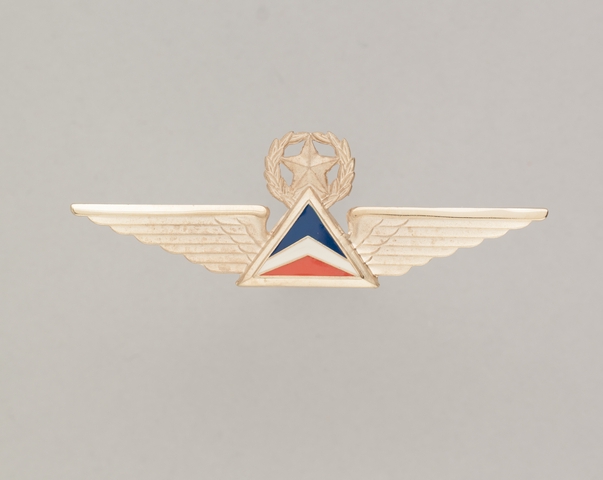 Flight officer wings: Delta Air Lines