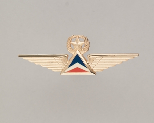 Image: flight officer wings: Delta Air Lines