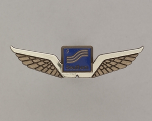 Image: children's souvenir wings: Southern Airways