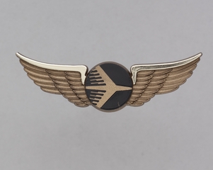 Image: children's souvenir wings: Jet America Airlines