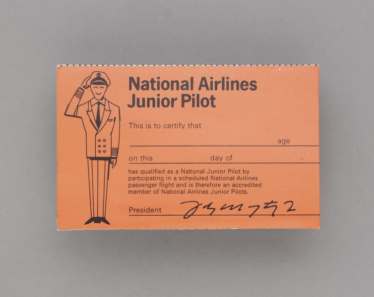 Image: children's souvenir wings: National Airlines