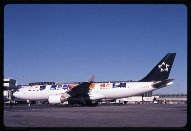 Slide: Turkish Airlines Star Alliance livery, Airbus A330, John F. Kennedy International Airport (JFK)