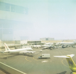 Image: negative: United Air Lines, San Francisco International Airport (SFO)