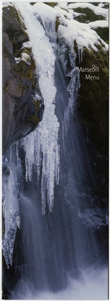 Image: menu: IcelandAir