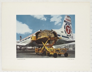 Image: print: Flying Tiger Line, Canadair CL-44