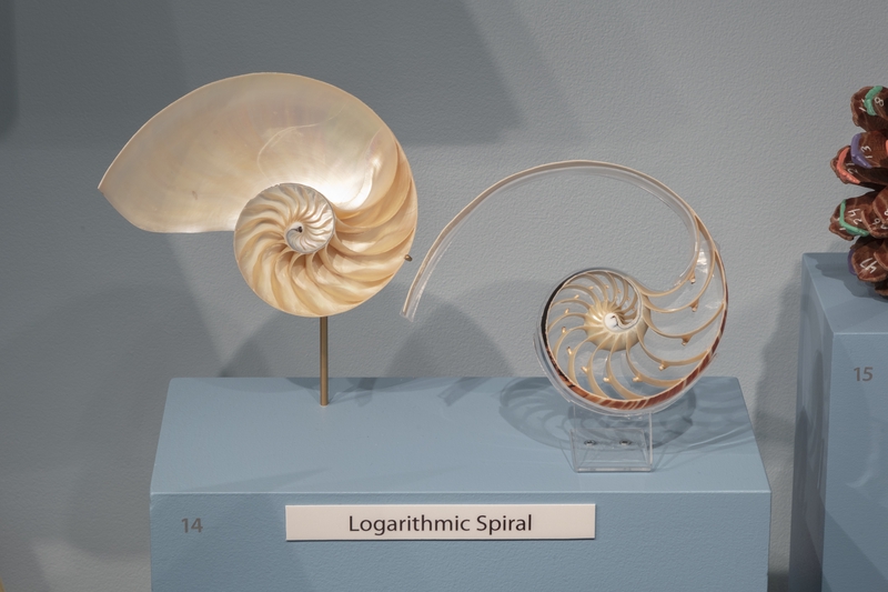 Image: Installation view of "Mathematics: Vintage and Modern"