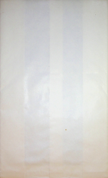 Image: airsickness bag: [unbranded]