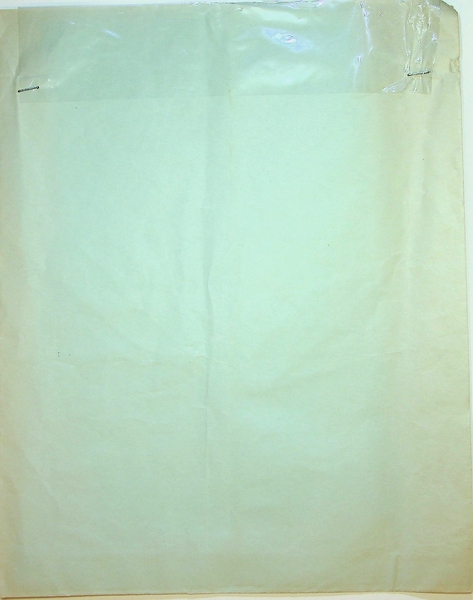 Image: airsickness bag: [unbranded]