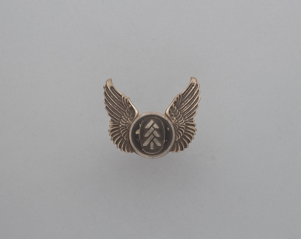 Flight officer cap badge: Air Oregon