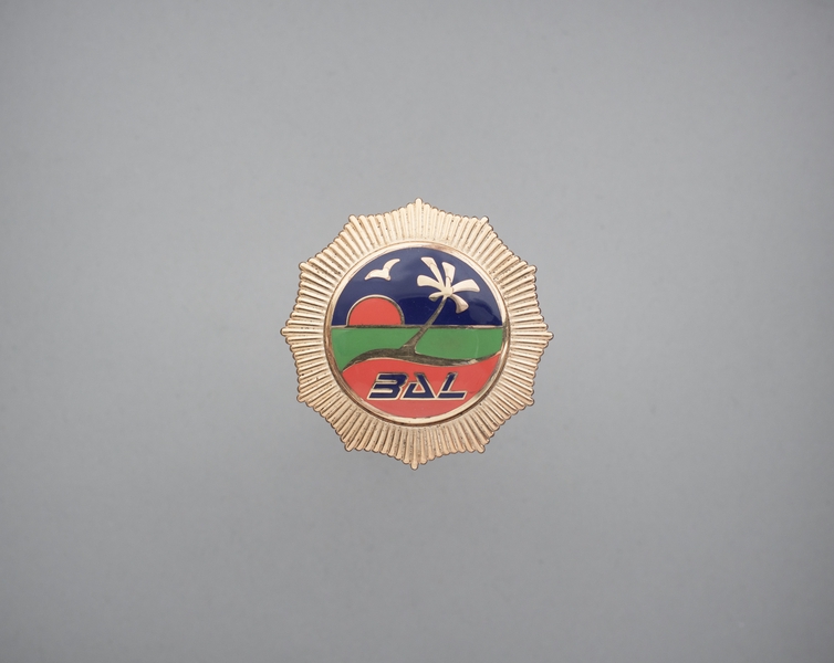 Image: flight officer cap badge: Belize Airways