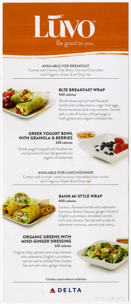 Image: menu: Delta Air Lines