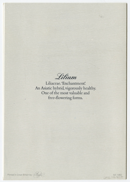 Image: menu: British Airways, economy class