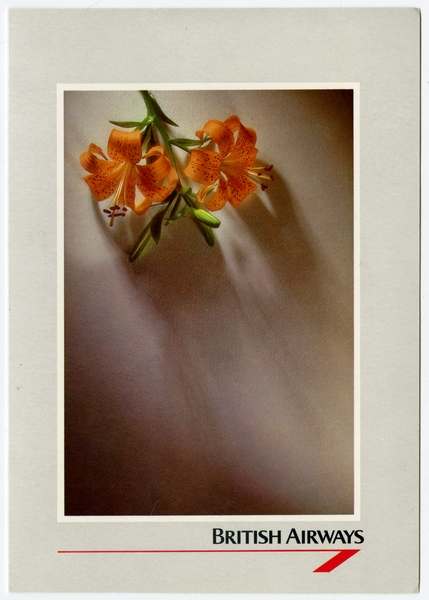 Image: menu: British Airways, economy class