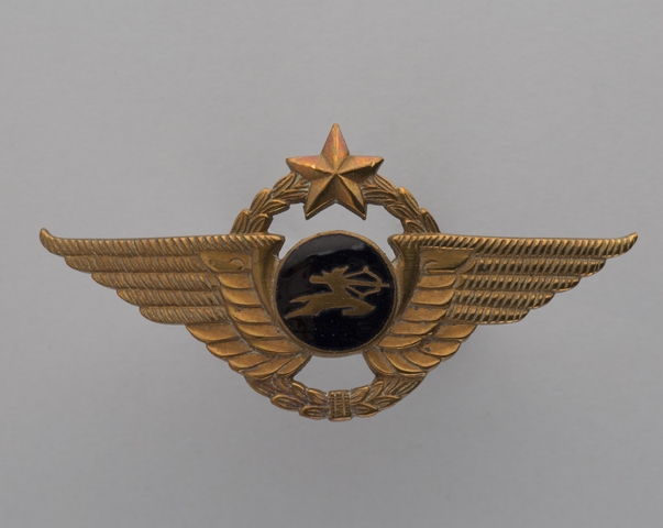 Flight officer cap badge: Air India