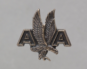 Image: service pin: American Airlines, 1 year