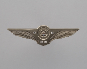 Image: service pin: United Airlines, 20 years