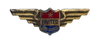 Image: service pin: United Air Lines, 5 years