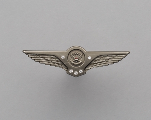 Image: service pin: United Airlines,25 years