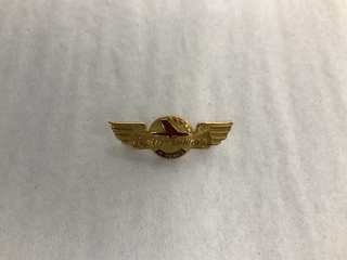 Image: service pin: Capital Airlines, 5 years