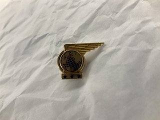Image: service pin: Pan American World Airways, 15 years