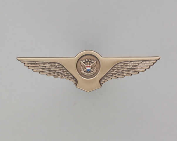 Objects | flight attendant wings / service pin: United Airlines | SFO ...