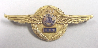 Image: flight officer wings: Pan American Airways System, master pilot