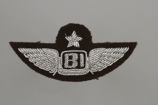 Image: flight officer wings: Braniff International